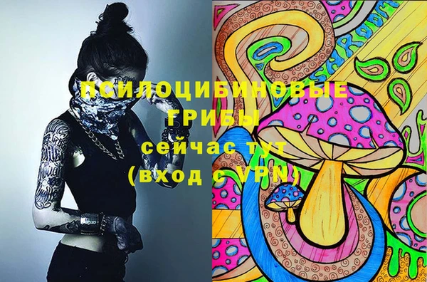 хмурый Абинск