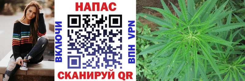 Канабис Ganja  Фролово 